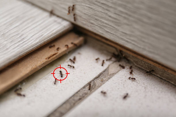 Best Pest Control Near Me  in Emporia, KS