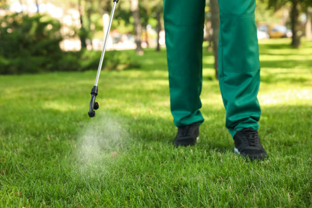 Best Termite Control Services  in Emporia, KS