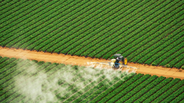 Best Pest Control Cost  in Emporia, KS