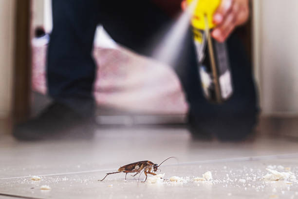 Best Exterminator Services  in Emporia, KS
