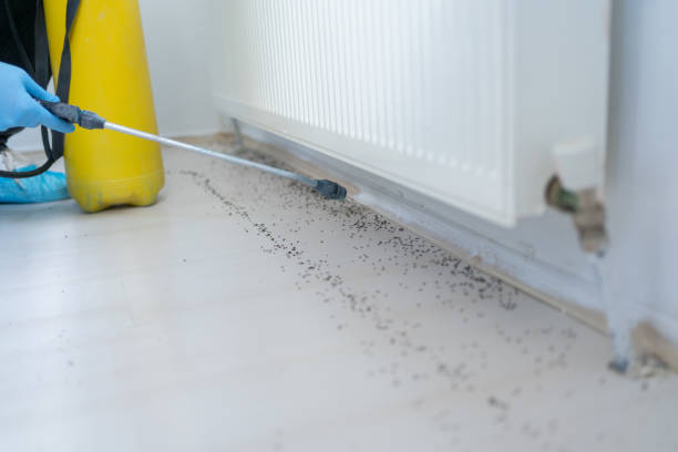 Flea Control Services in Emporia, KS
