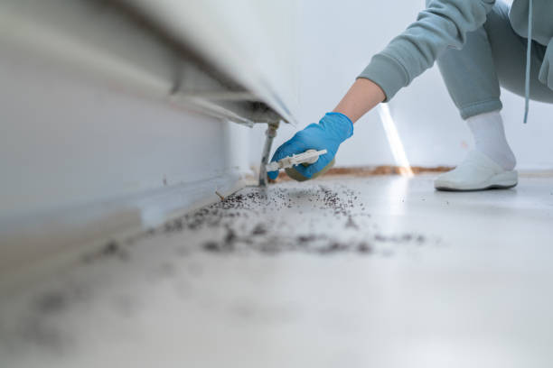Best Best Pest Control Companies  in Emporia, KS