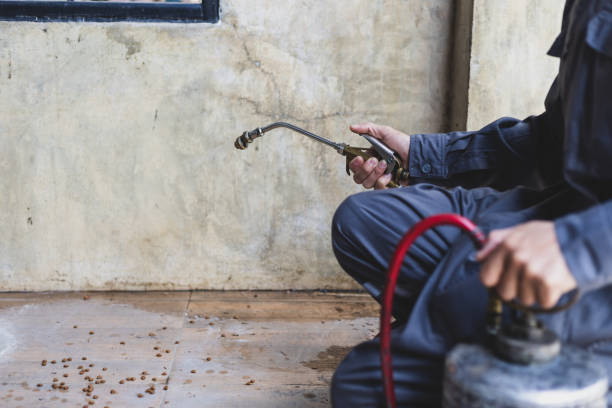 Best Mosquito Control Services  in Emporia, KS