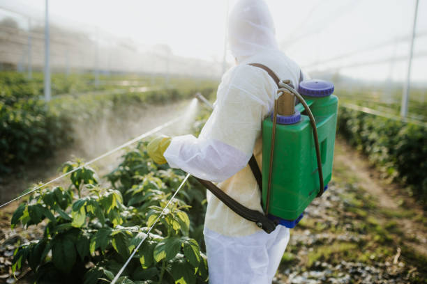 Best Wasp Removal Services  in Emporia, KS
